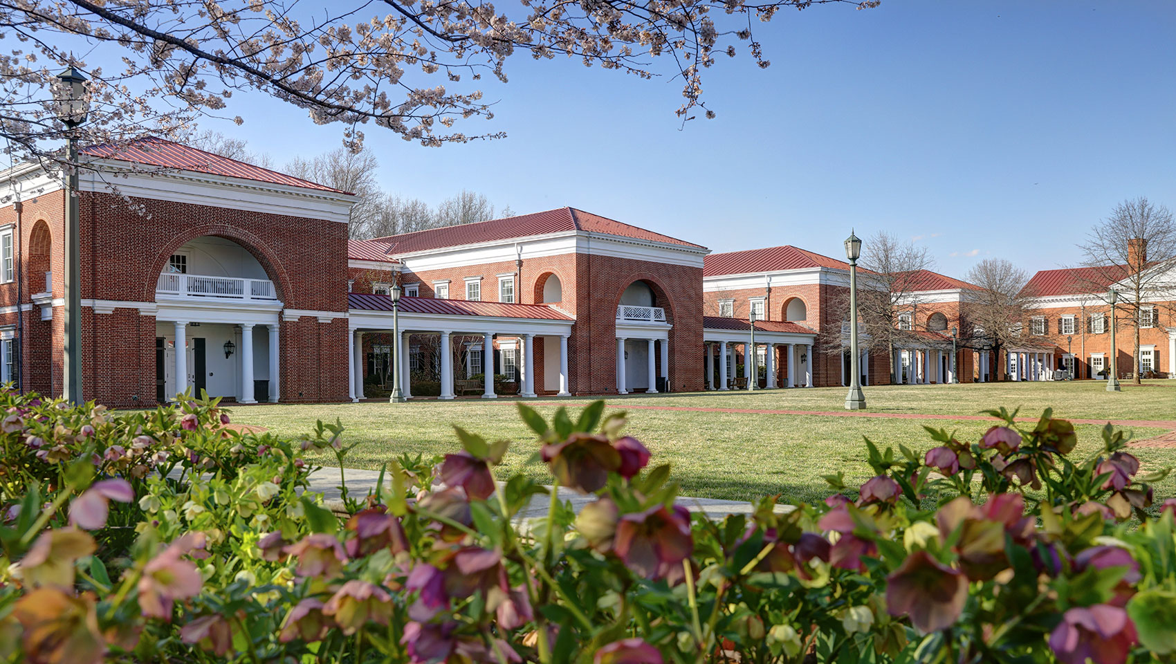 forum darden spring flowers