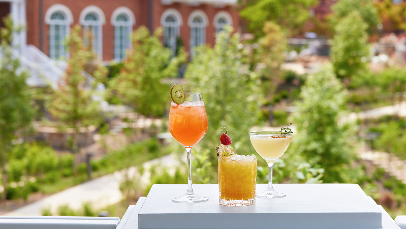 Drinks on Our Terrace