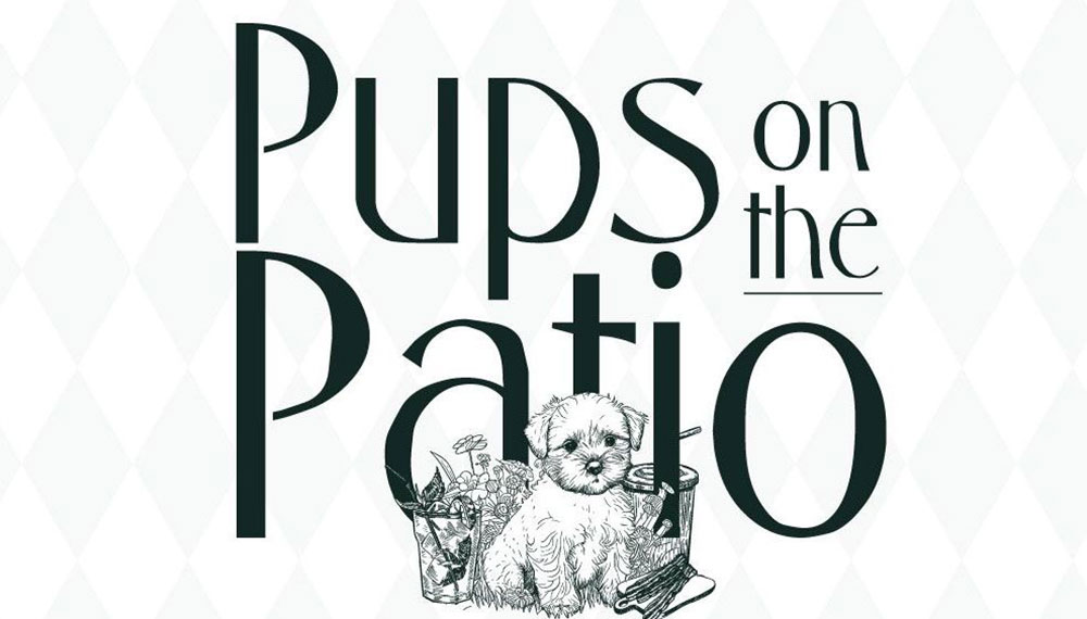 Graphic that reads Pups on the Patio