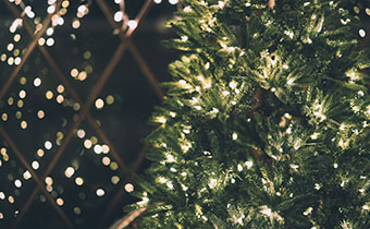 Christmas tree lights